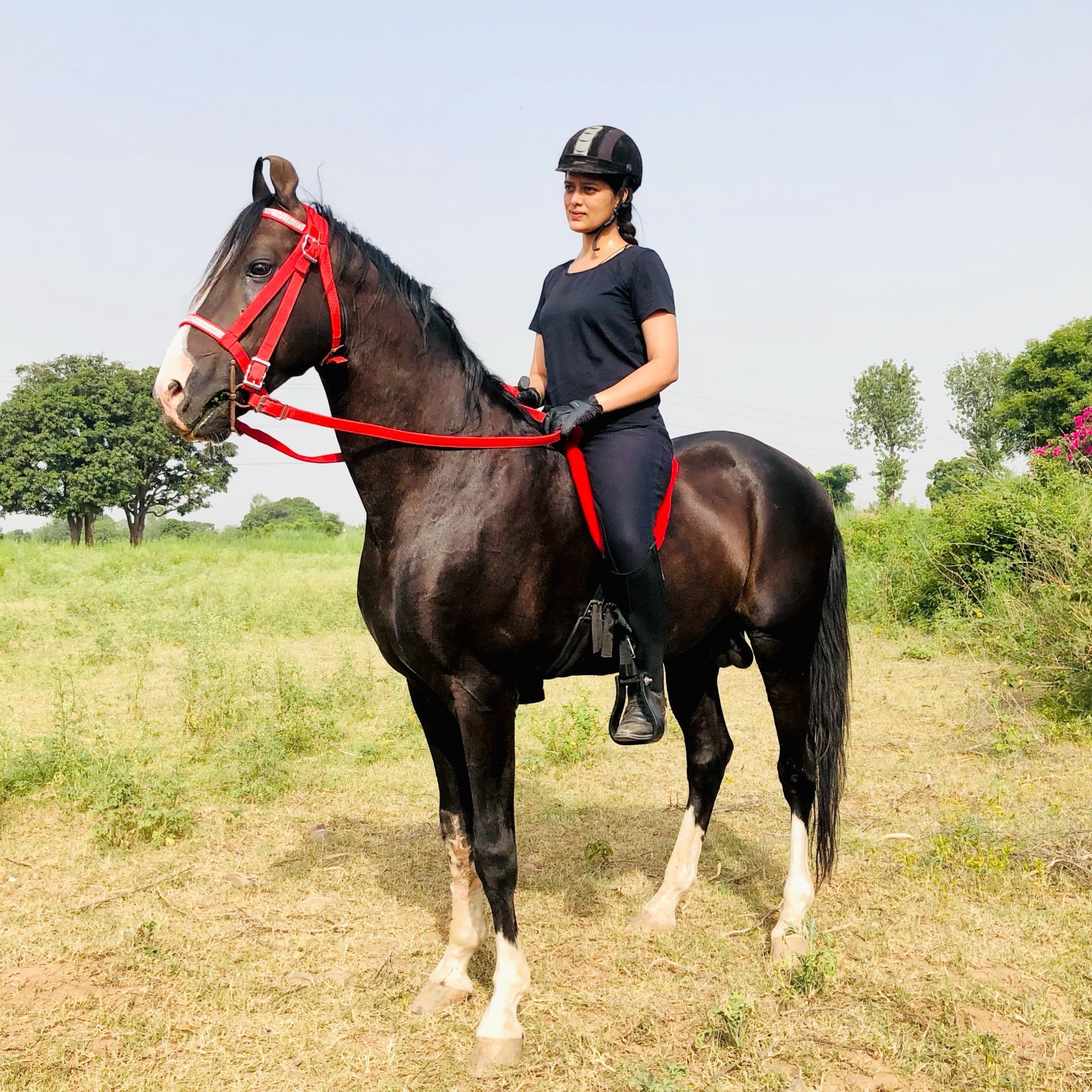 Bollywood Actress & Equestrian, Preeti Verma, Recognized by India Book of Records for Exceptional Achievement in Thar Desert Riding